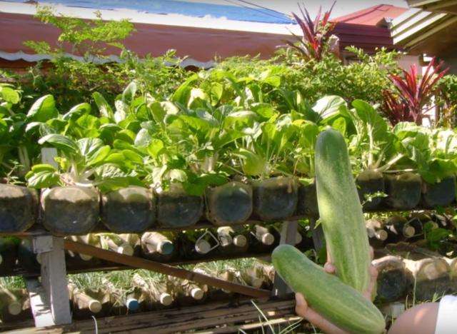 自制养花滴水瓶教程图片,手工自制花瓶养花教程图片