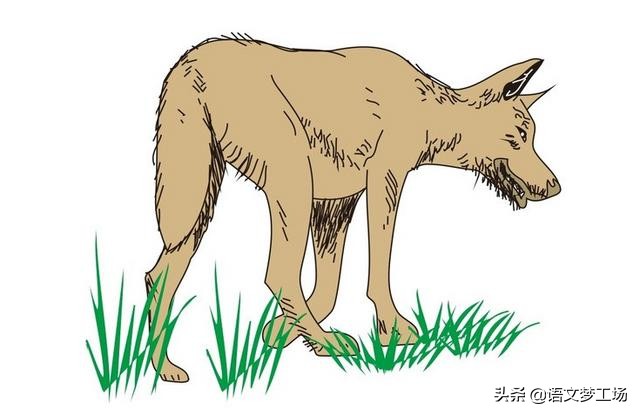 初中名著中提到伊索寓言,伊索寓言名著阅读导读课