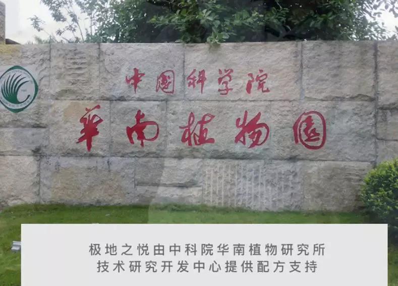 亲测真正有效去黑头粉刺产品,黑头连根拔起还会再长吗