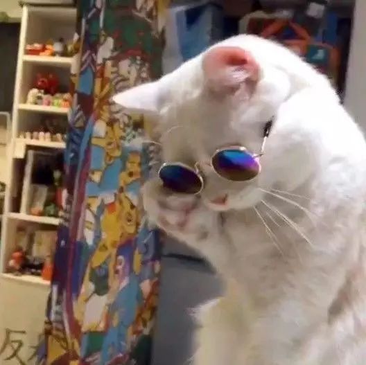 一周评测全纪录,一周测评