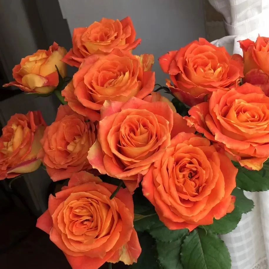 资讯信息类应用场景包括,商务资讯有哪些