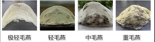 备孕期间燕窝配什么最好,备孕燕窝怎么吃