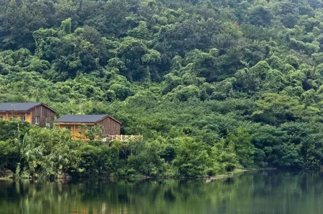 花百万做过哪些项目,花百万做秘密花园值得吗
