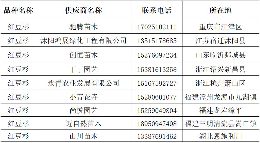 红豆杉树现在的行情,红豆杉树根行情