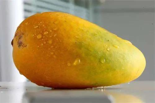 应季水果蔬菜时间表官方,一年四季的应季水果蔬菜有哪些呢