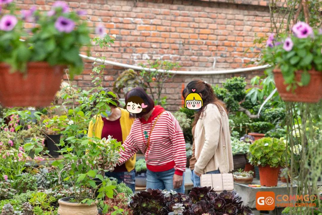 重庆最大的花市在哪里,重庆花市排名前十名