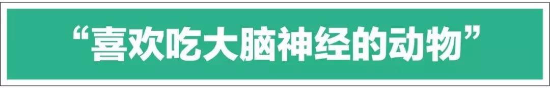 探秘“戒酒会”：这里有一群嗜酒如命的疯子