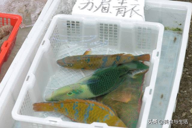 国内有名的海鲜市场,并不是北京新发地,而是广东黄沙水产市场