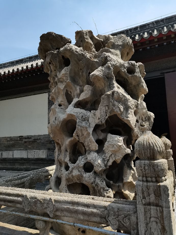 孔府孔庙孔林儿童门票,去孔庙孔府孔林的游记