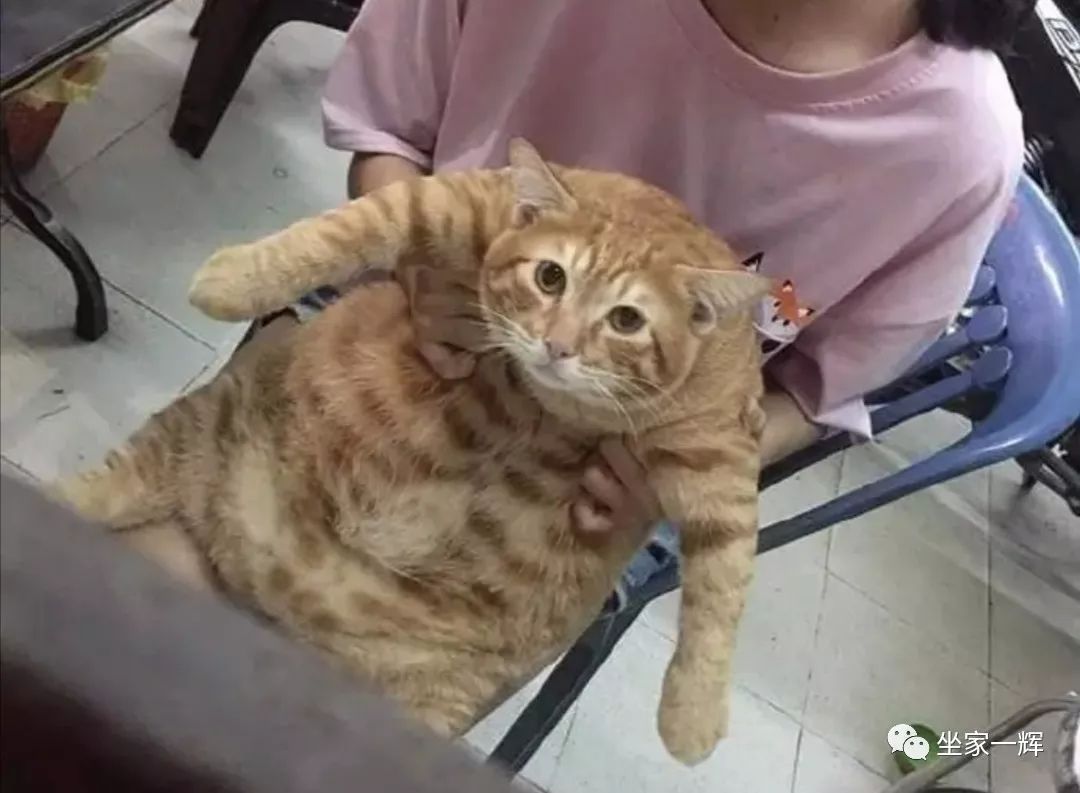 最新防割韭菜套路骗局揭秘,揭秘骗子那些割韭菜套路