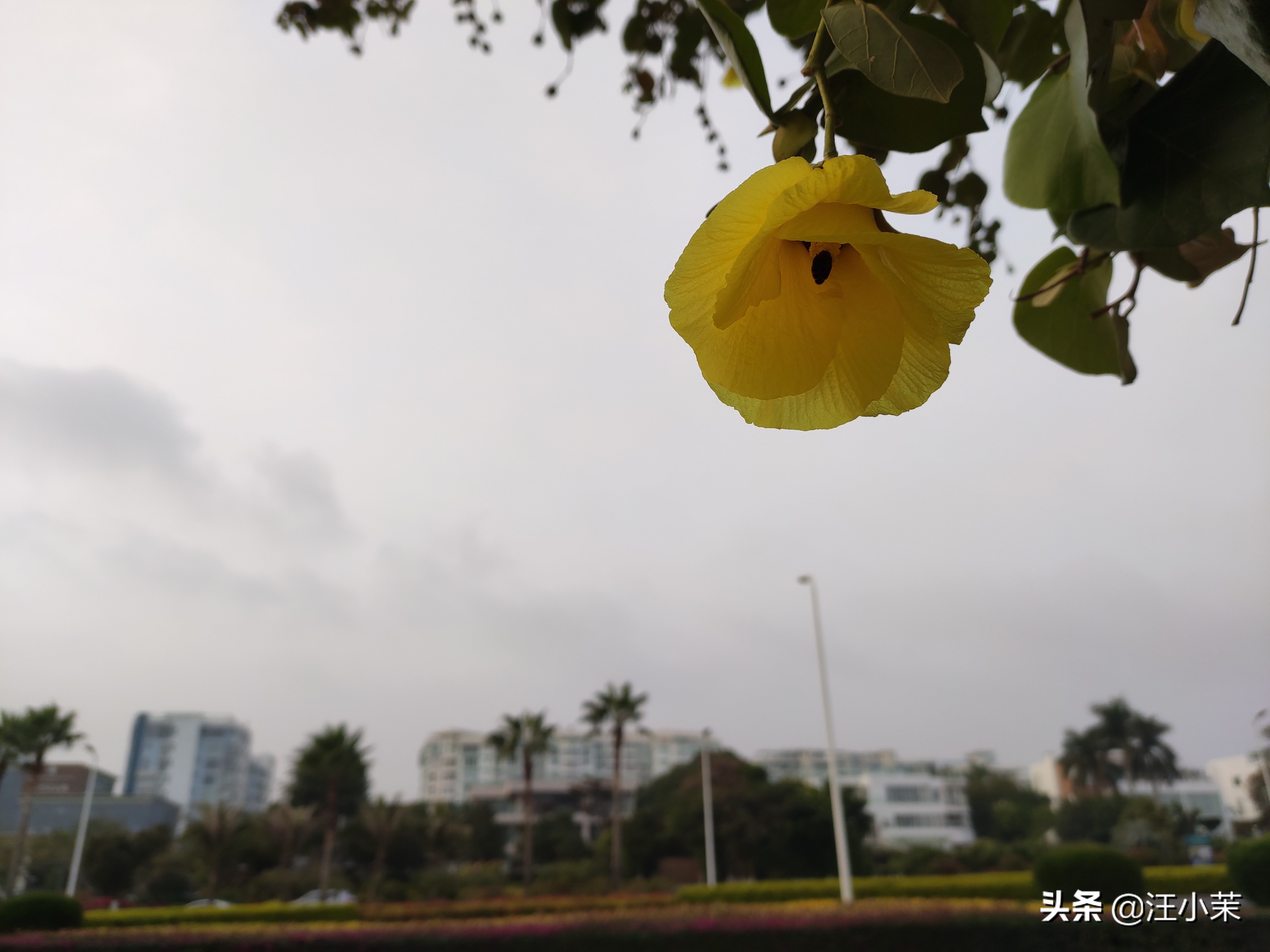 如何化解内心的压抑和焦虑,怎样不让自己压抑焦虑