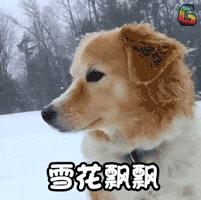 效果很快的护肤品安全吗,效果特别好的护肤品有激素吗