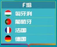 鏖战欧洲杯视频,鏖战欧洲杯直播