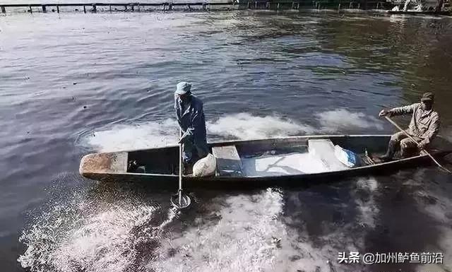 井水最佳调水方法,水质正常白天没口怎么调水