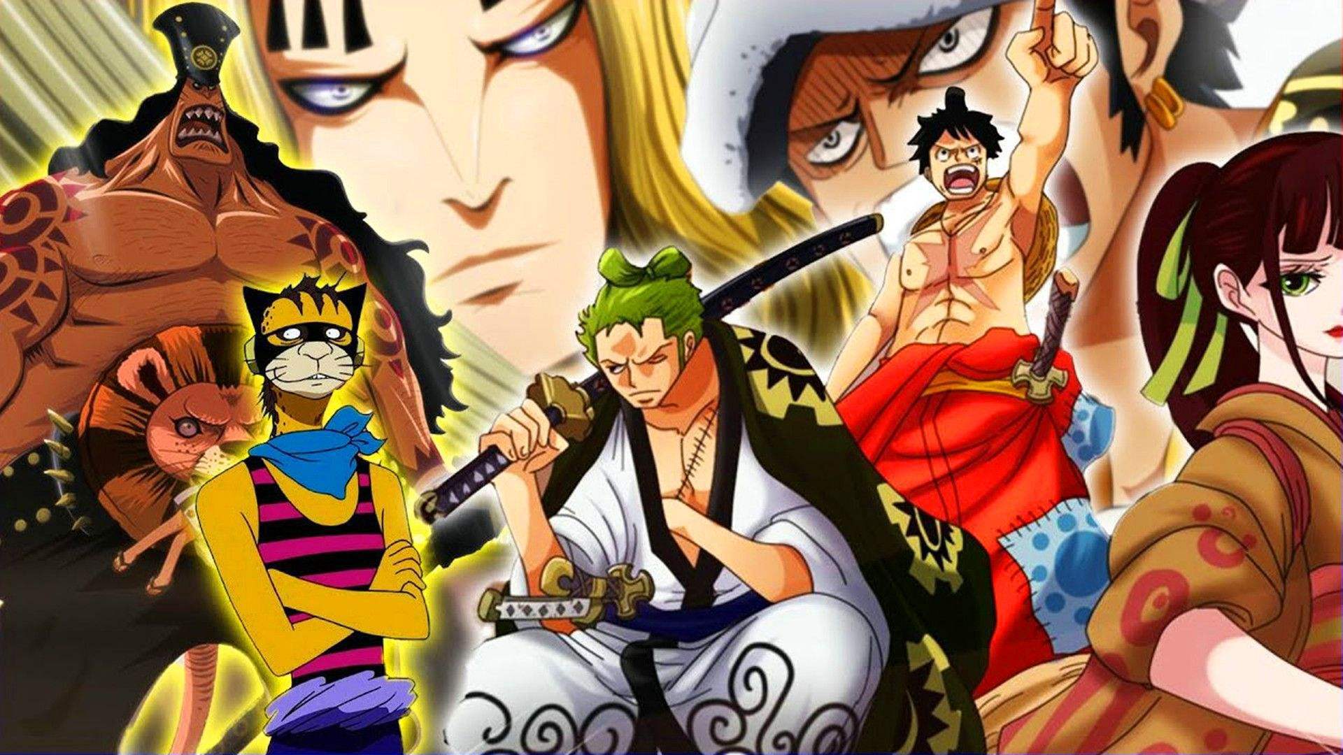 海贼王动画全部章节,海贼王后续剧情目录