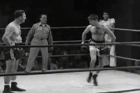 陈鹤皋疯狗拳自由搏击,陈鹤皋疯狗拳宗师