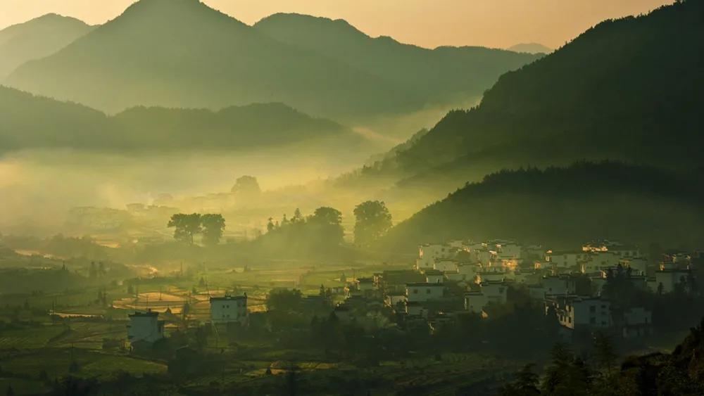 银杏古道自驾游攻略,江浙沪绝美古道苏州