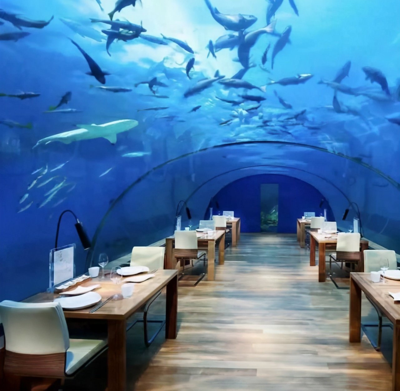 自然奇观水下世界,水下世界非常神秘而美丽