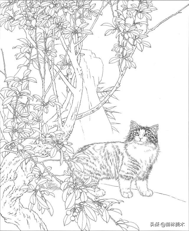 国画工笔猫白描,邢诚爱工笔画猫白描底稿