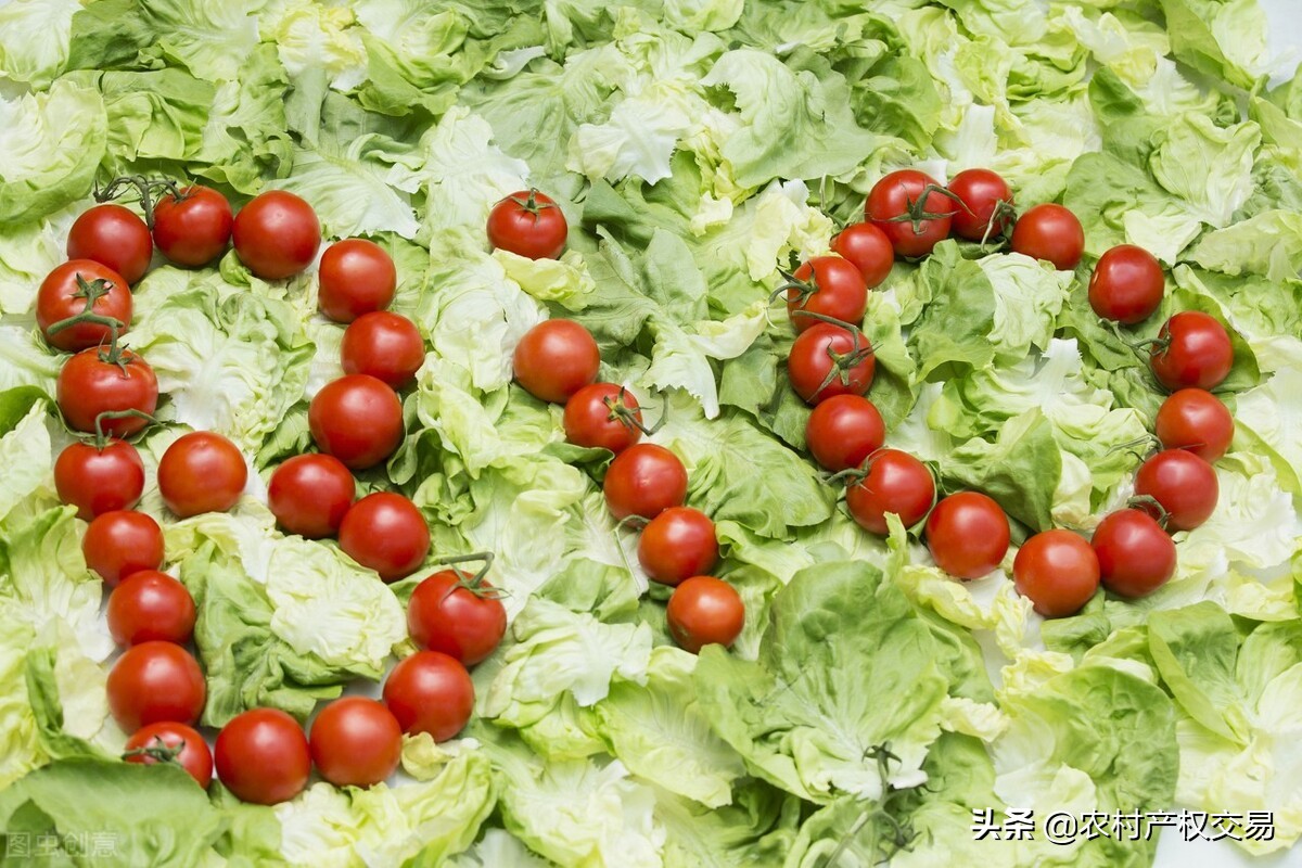 包销路的小型办厂项目1688,在家办厂生产什么样的货不愁销路