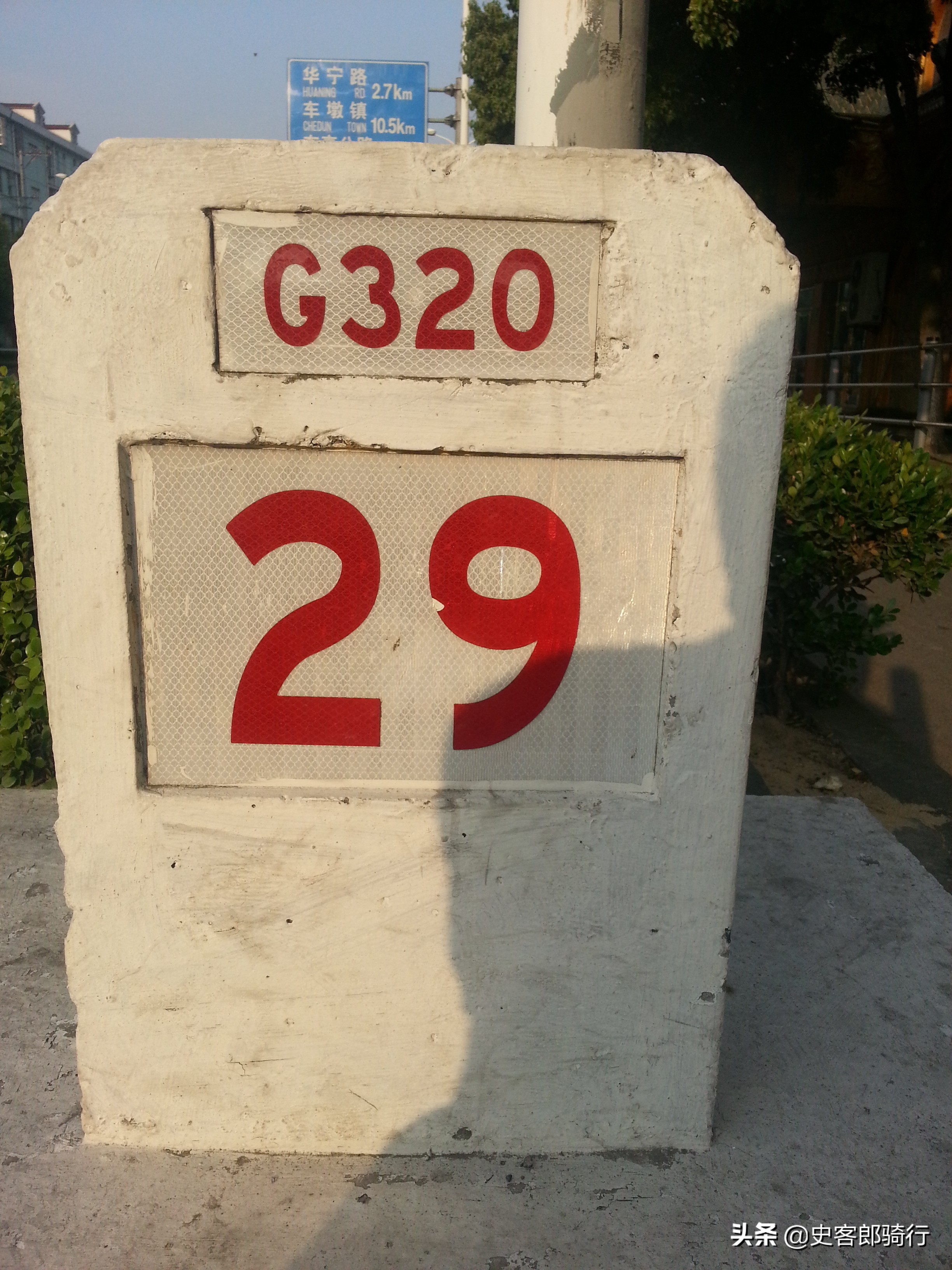 上海骑行看樱花,坐车看上海夜景