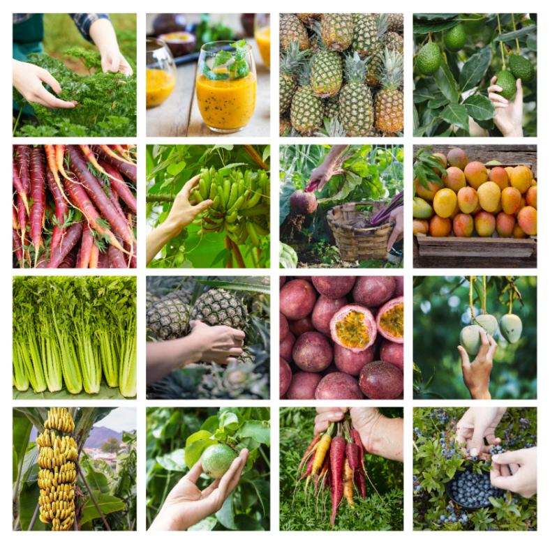 乐源果汁品牌,乐源果汁品质