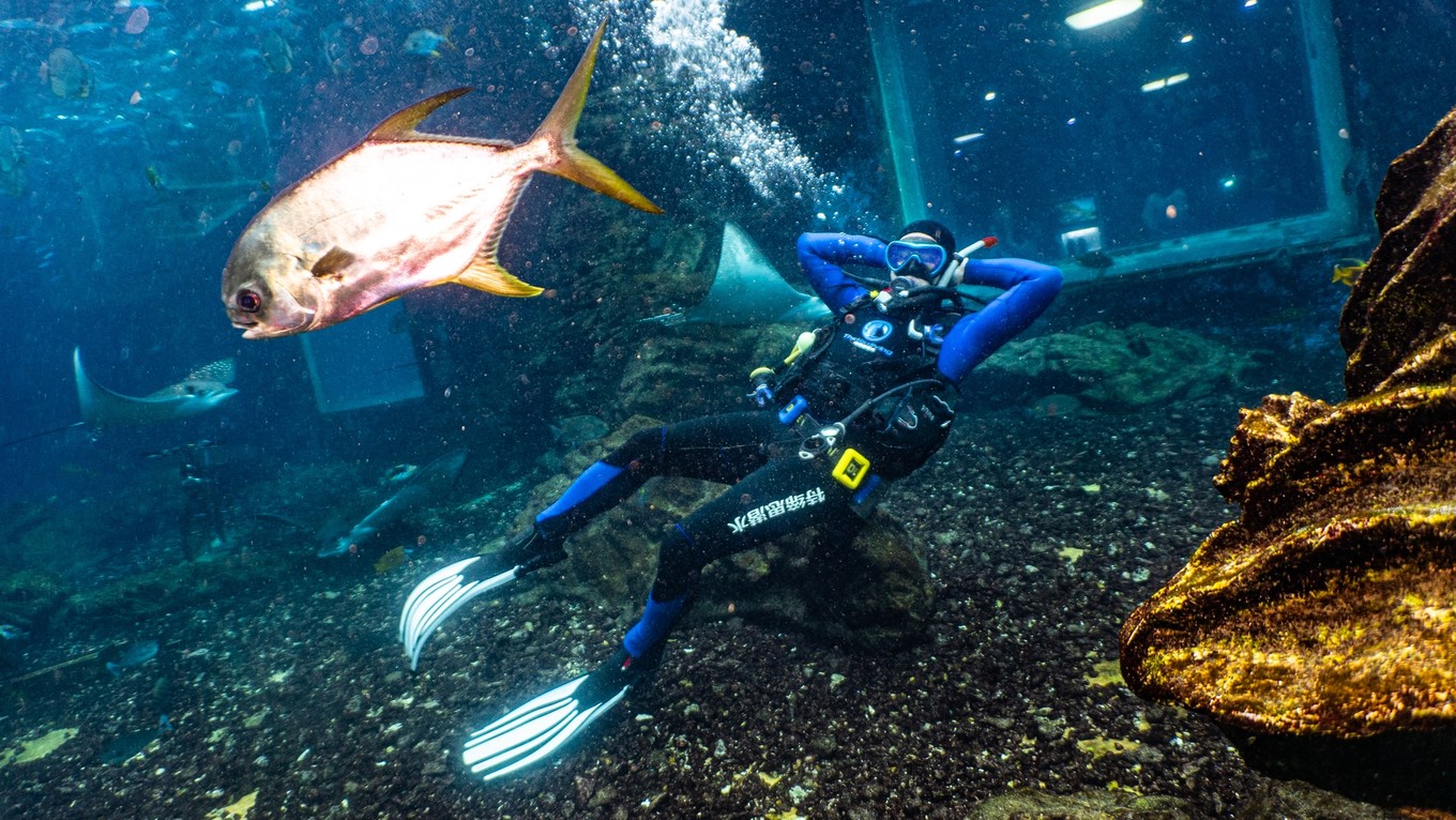 三亚学潜水机构推荐,三亚学潜水哪个最专业