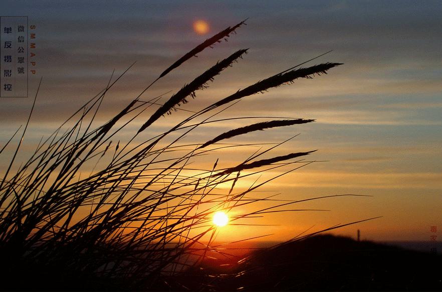 夕阳怎么拍摄有意境,夕阳美景拍摄动作技巧有哪些