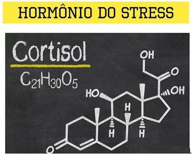 肥胖胰岛素浓度高的原因,皮质醇高与胰岛素抵抗有关系吗