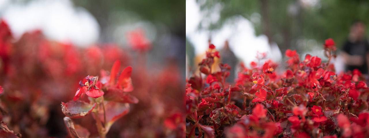 野路子摄影师小渔,松下gx9拍照效果怎么样