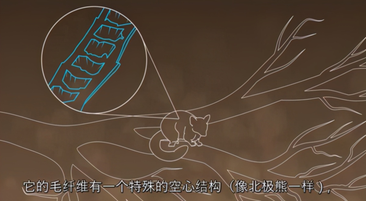 新西兰伯丽奴Perino高品质纱线溯源探索