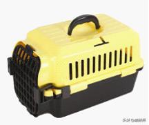 猫咪航空托运全面解析铲屎官必看,八大航空公司对于托运猫咪要求