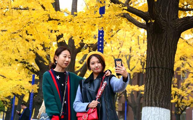 国家地理100个最美景观摄影点,全国银杏观赏地图