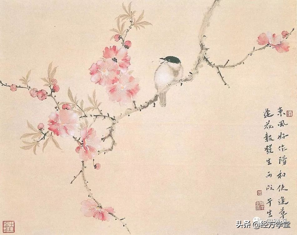 朱氏常用的妇科药对简述，药对临证使用秘籍