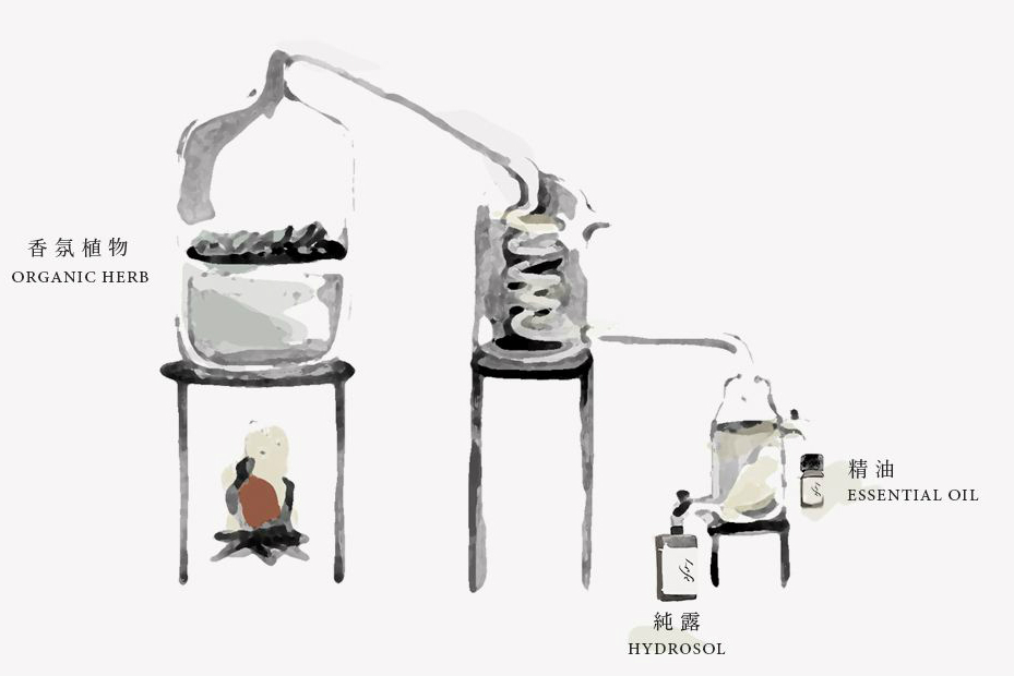 精油到底有用吗有美白的效果吗,薰衣草精油的功效与作用及副作用