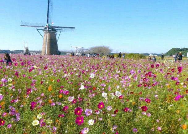 成田机场有什么好吃的,日本成田机场附近有什么好玩