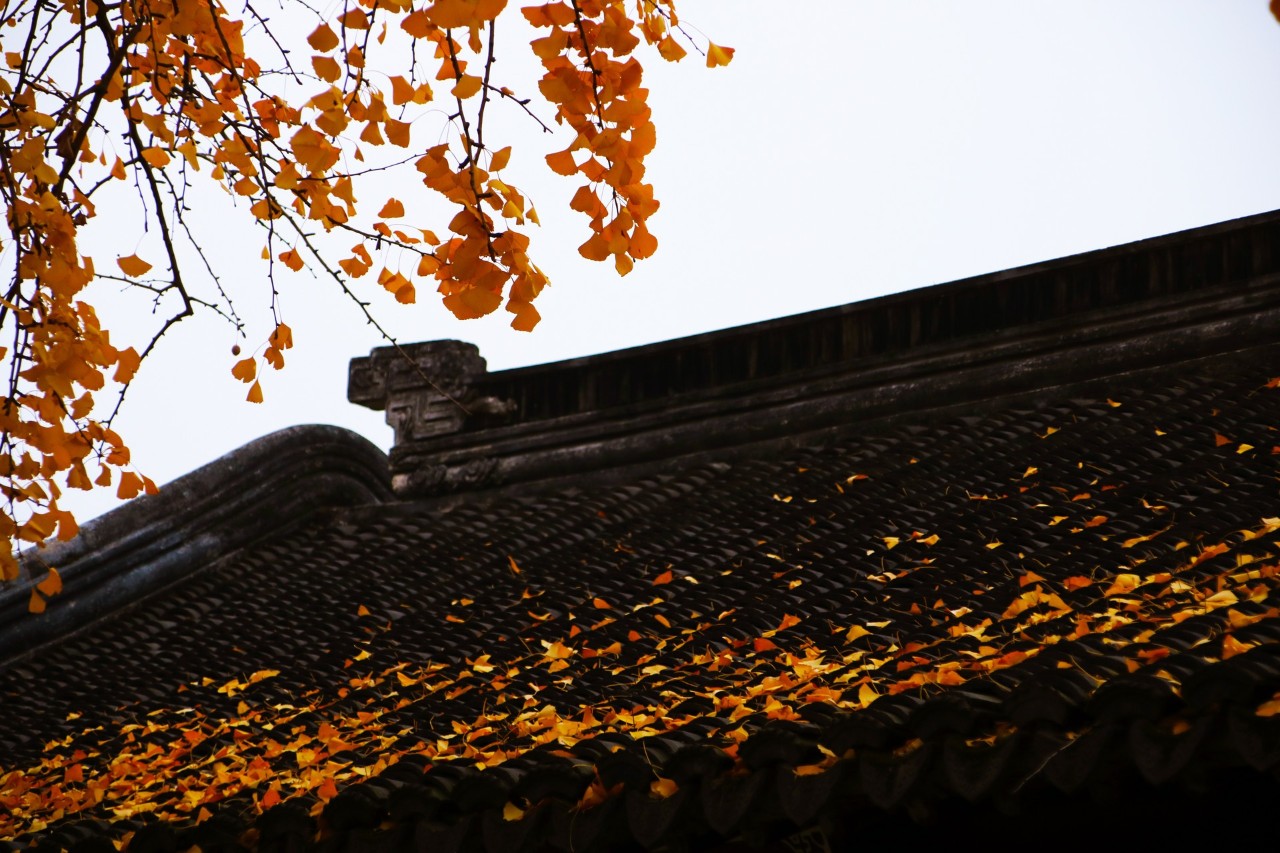 古文感悟人生哲理的名言名句,古文经典哲理名句