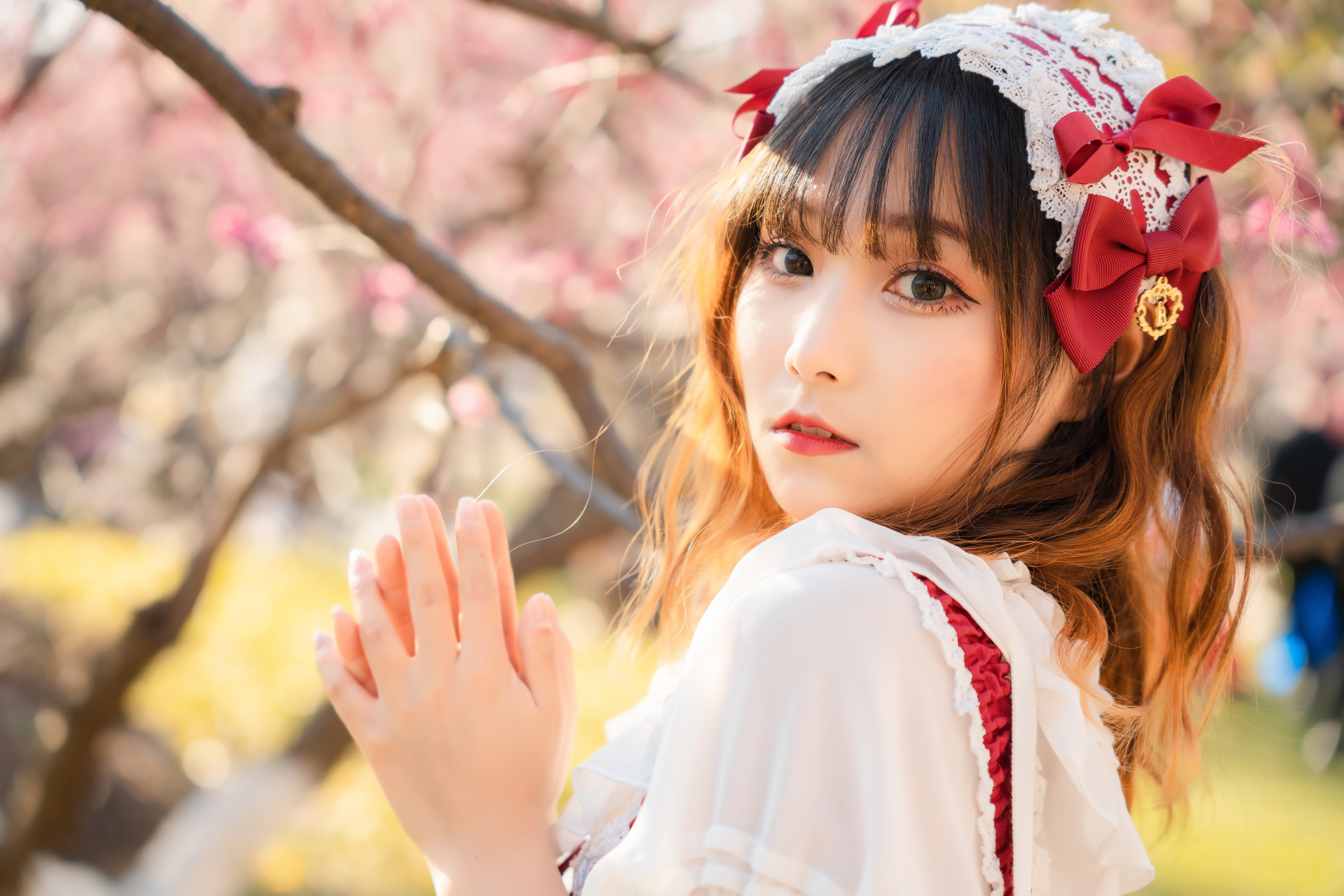 适马24-702.8二代镜头测评,适马新出的24-702.8镜头怎样