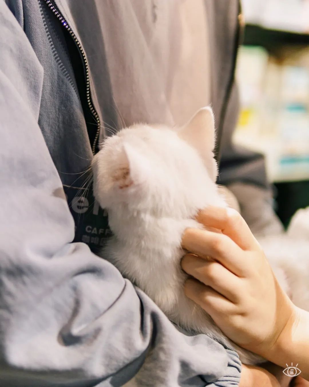 娣卞湷鏂版槬甯傞泦,娣卞湷鍒涙剰甯傞泦