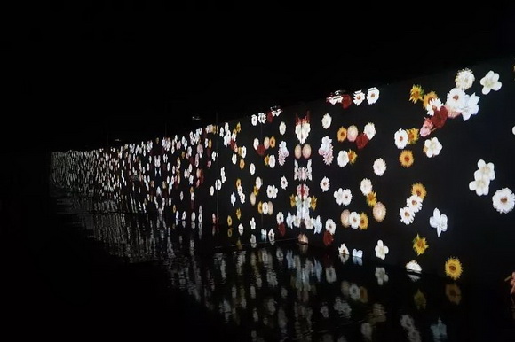 秦皇岛怪楼奇园票价,秦皇岛怪楼奇园