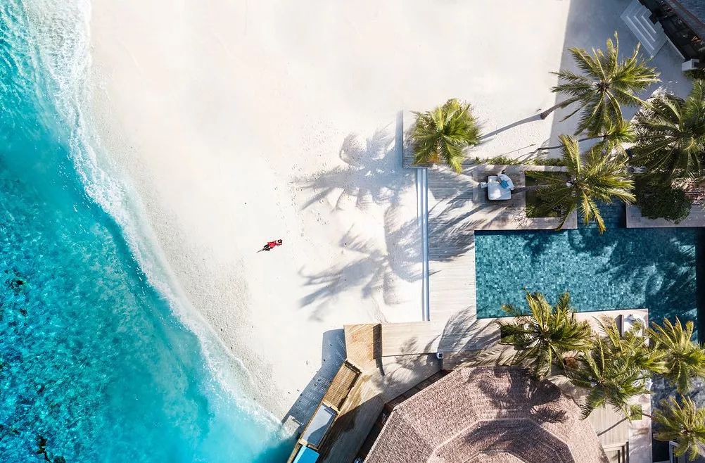 袖珍椰子最佳观赏期,阳台袖珍椰子