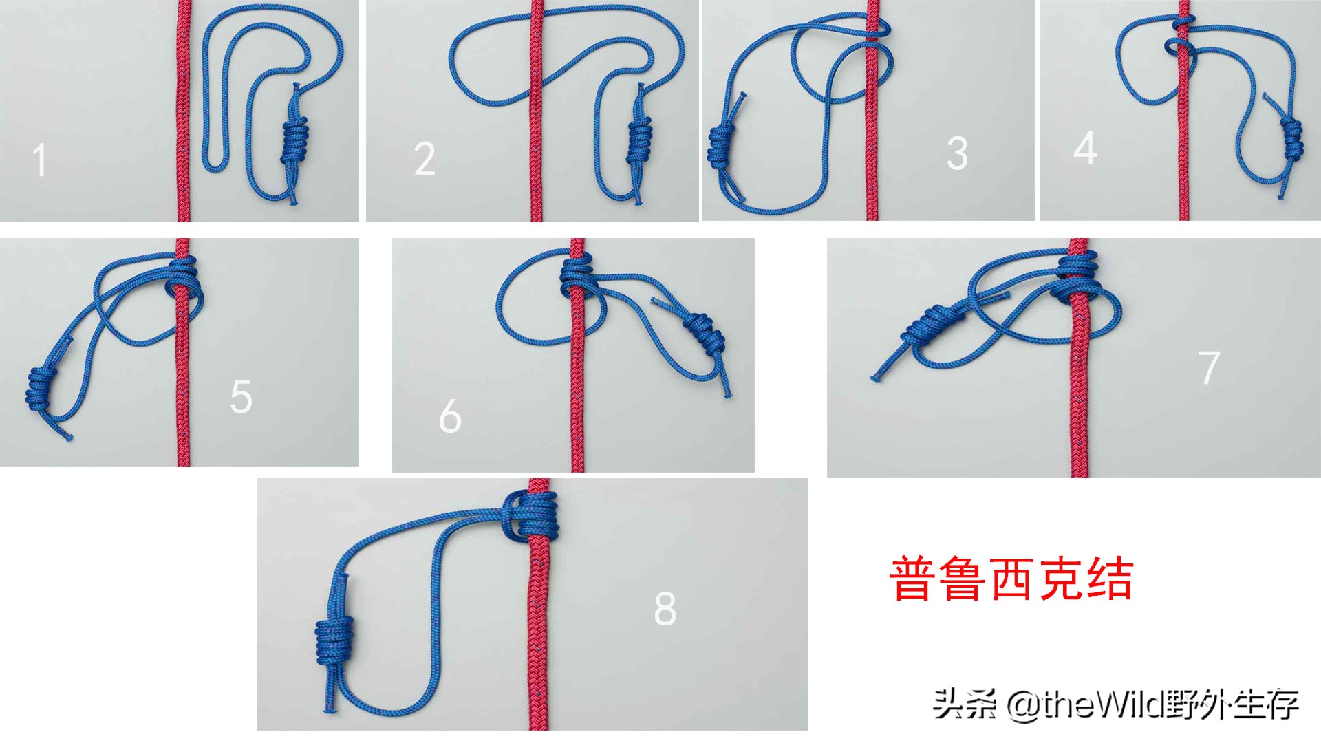 户外求生如何打绳结,野外生存25种绳结打法
