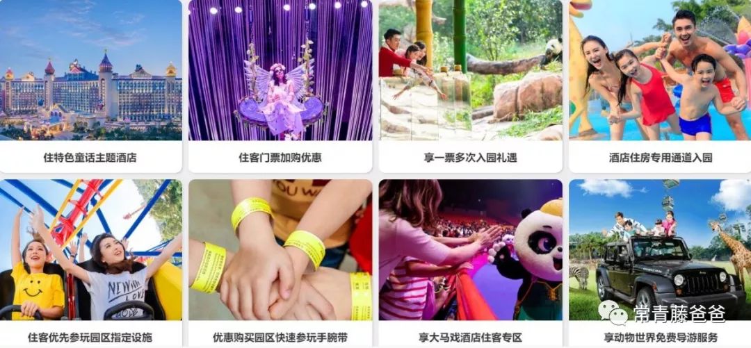 广州长隆攻略两天一夜住哪个酒店,去珠海长隆前一天下午游玩攻略