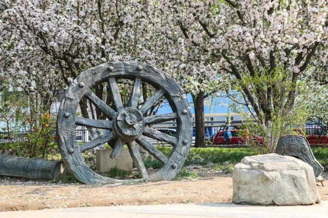 北京人少景美赏秋的公园,北京赏秋中山公园