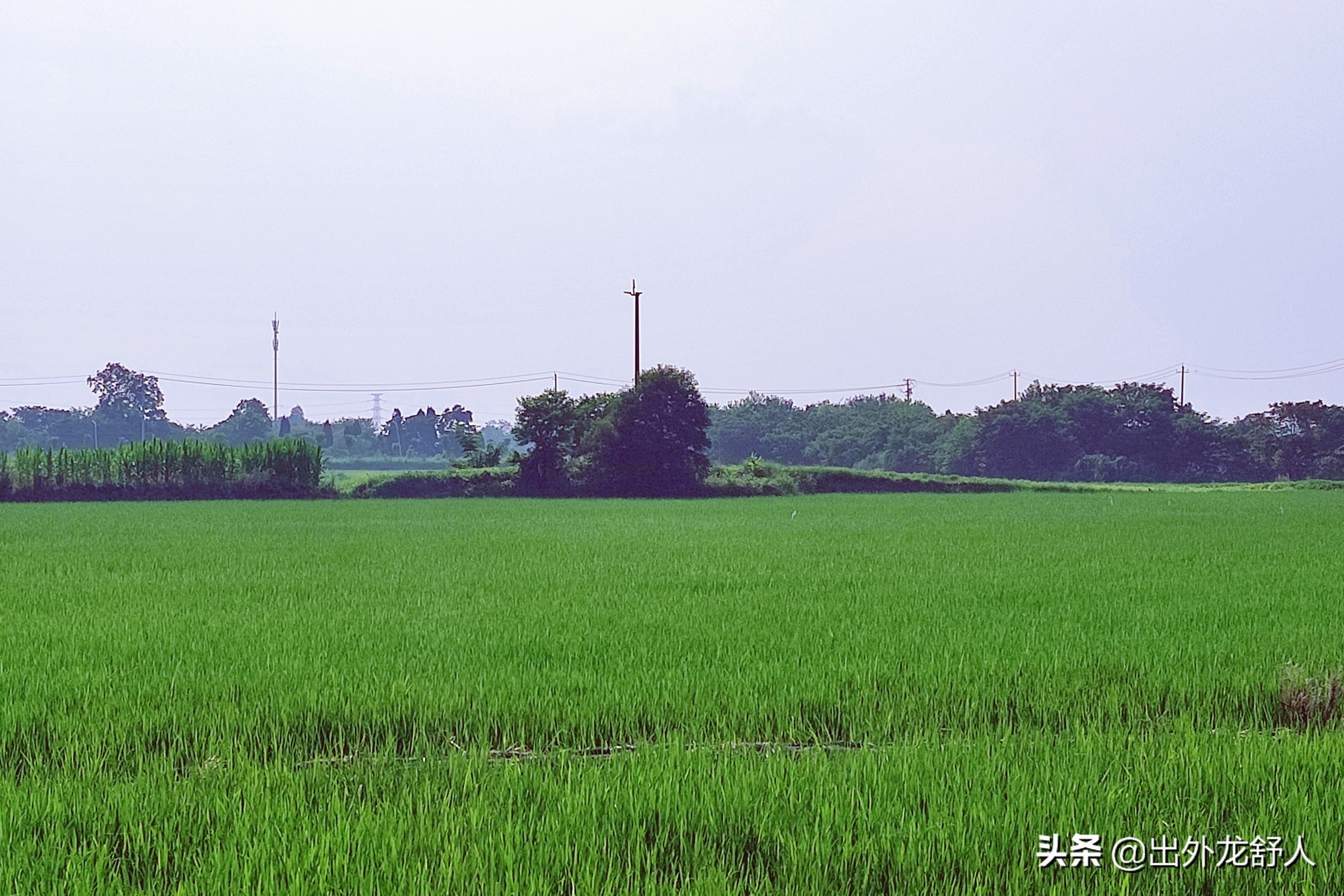 合肥这座历史文化名城你了解吗,合肥无人知道的好地方