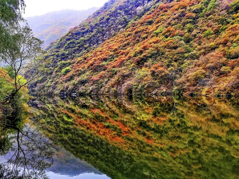 灏忎節瀵ㄥ弻榫欏场,浜タ灏忎節瀵ㄥ弻榫欏场