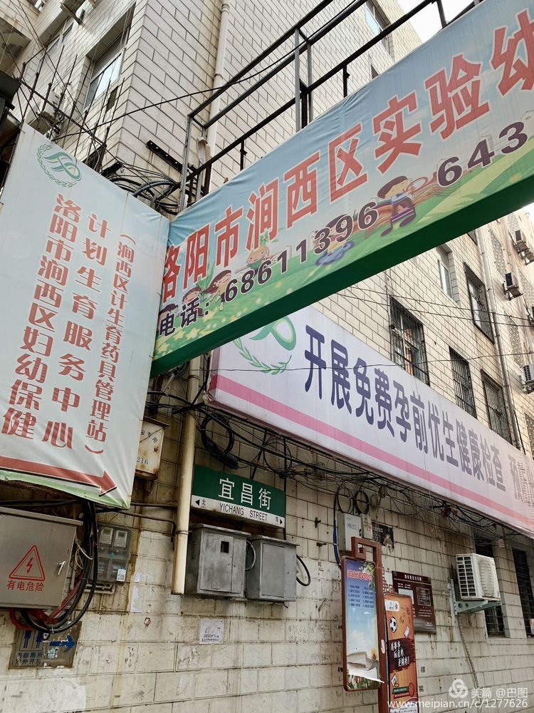 涧西牡丹广场老照片,洛阳牡丹手机拍照