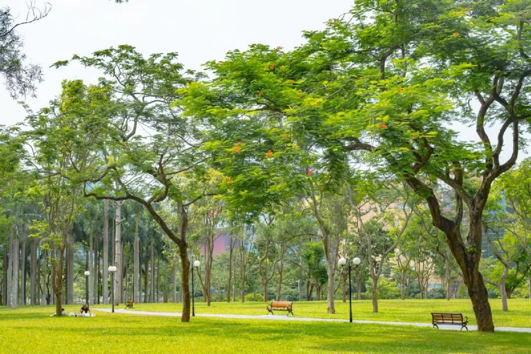 深圳旅游攻略一日游路线推荐,深圳自驾游一日游最佳路线图
