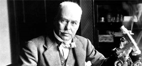 令你深恶痛绝的蚊子，也不过是病毒的傀儡