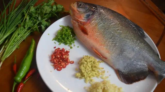 什么鱼营养价值最高又便宜刺又少,蛋白质高刺少且便宜的鱼